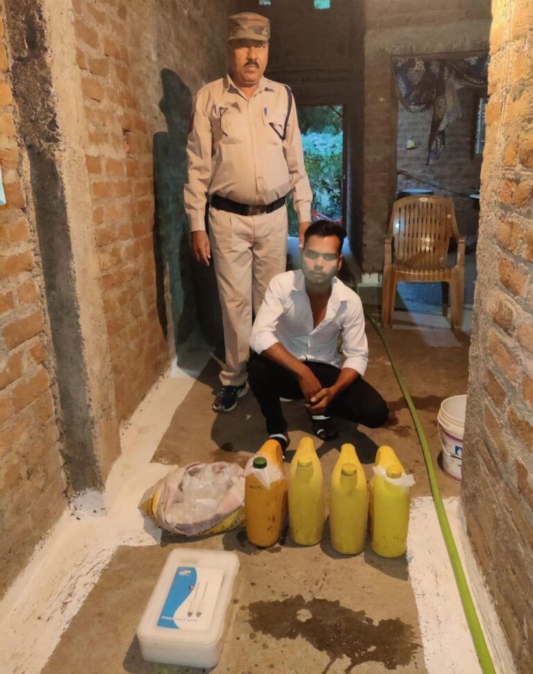 WhatsApp Image 2024-11-18 at 12.21.49_557df363